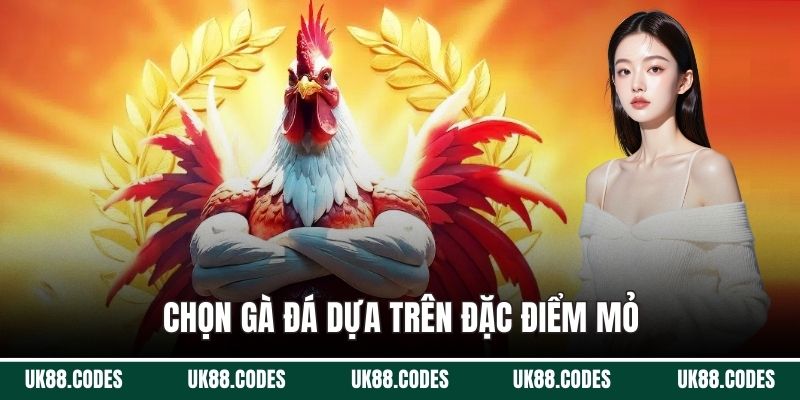 Chọn gà đá dựa trên đặc điểm mỏ